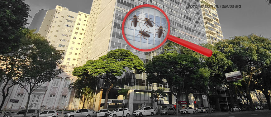 As imagens mostram um edifício com fachada de vidro, identificado como o prédio da Avenida Afonso Pena, 1500. Em destaque, há uma lupa ampliando uma área da fachada, onde aparecem ilustrações de baratas, indicando uma infestação. O texto em algumas imagens diz: "SINJUS cobra ações urgentes do TJ contra nova infestação de baratas na Afonso Pena, 1500". O fundo é predominantemente cinza com tons de verde das árvores, destacando a seriedade do tema. As imagens têm o objetivo de alertar sobre as condições de trabalho no local.