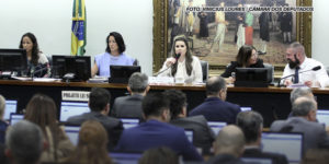 As imagens retratam uma sessão na Câmara dos Deputados do Brasil. Há várias pessoas sentadas em torno de uma mesa, algumas trabalhando em computadores portáteis, com papéis à frente. Ao centro da mesa, uma deputada fala ao microfone, acompanhada por outras pessoas também em posições de destaque. Ao fundo, um grande quadro retrata uma cena histórica.