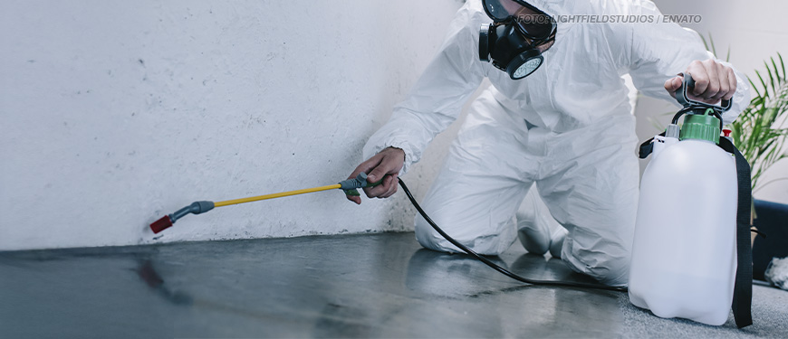 A imagem mostra um dedetizador vestindo um traje de proteção branco, incluindo luvas, máscara de gás e óculos de proteção, ajoelhada no chão enquanto pulveriza um produto químico próximo à parede. Ela segura um recipiente branco com líquido e um tubo amarelo com um bico aplicador na ponta. O ambiente tem um piso escuro e uma parede branca, e a iluminação é fria e industrial. O texto sobreposto informa que o TJMG adotou novas medidas contra a infestação de baratas no edifício-sede após cobranças do SINJUS.